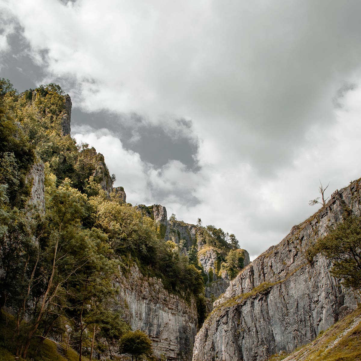 Cheddar Gorge