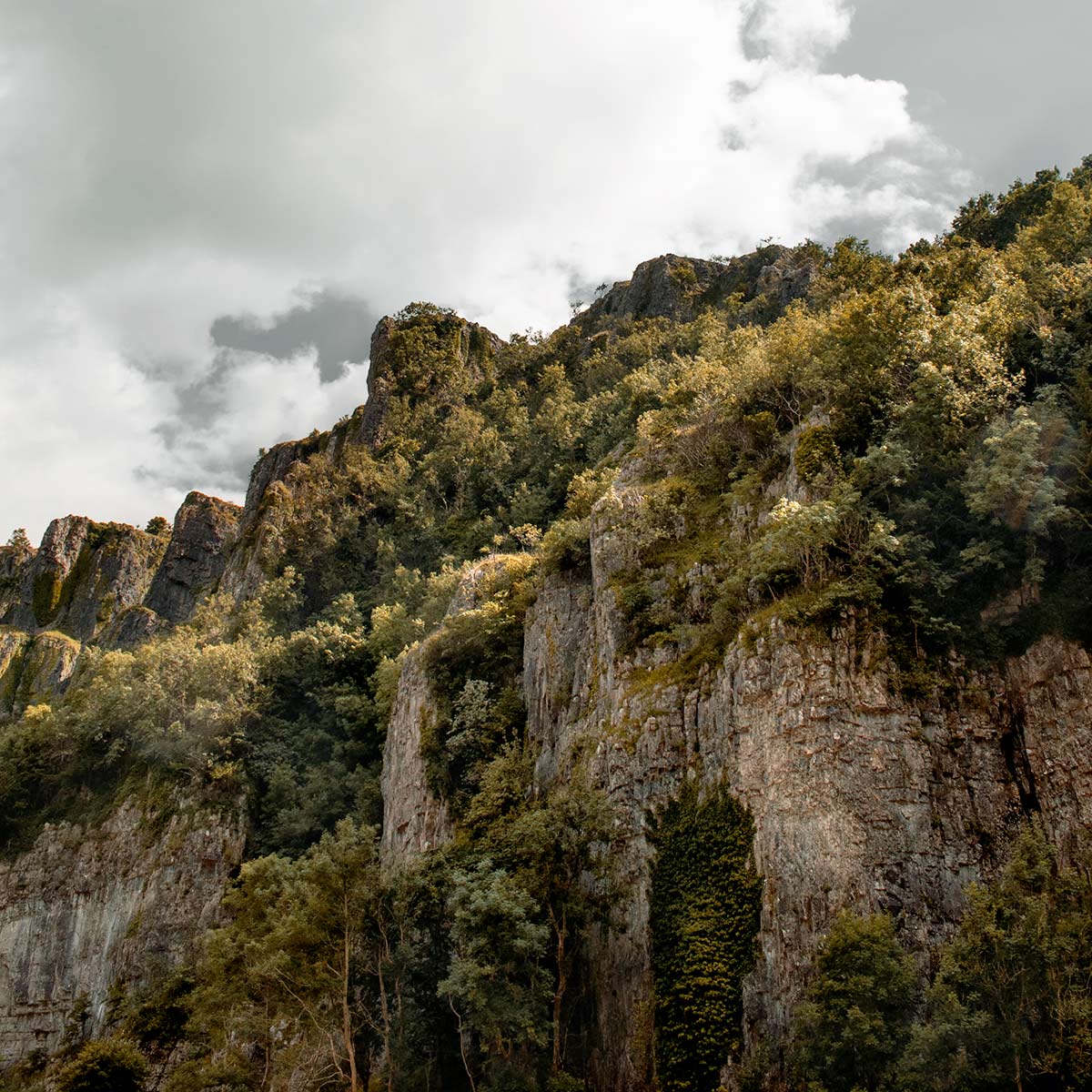 Cheddar Gorge