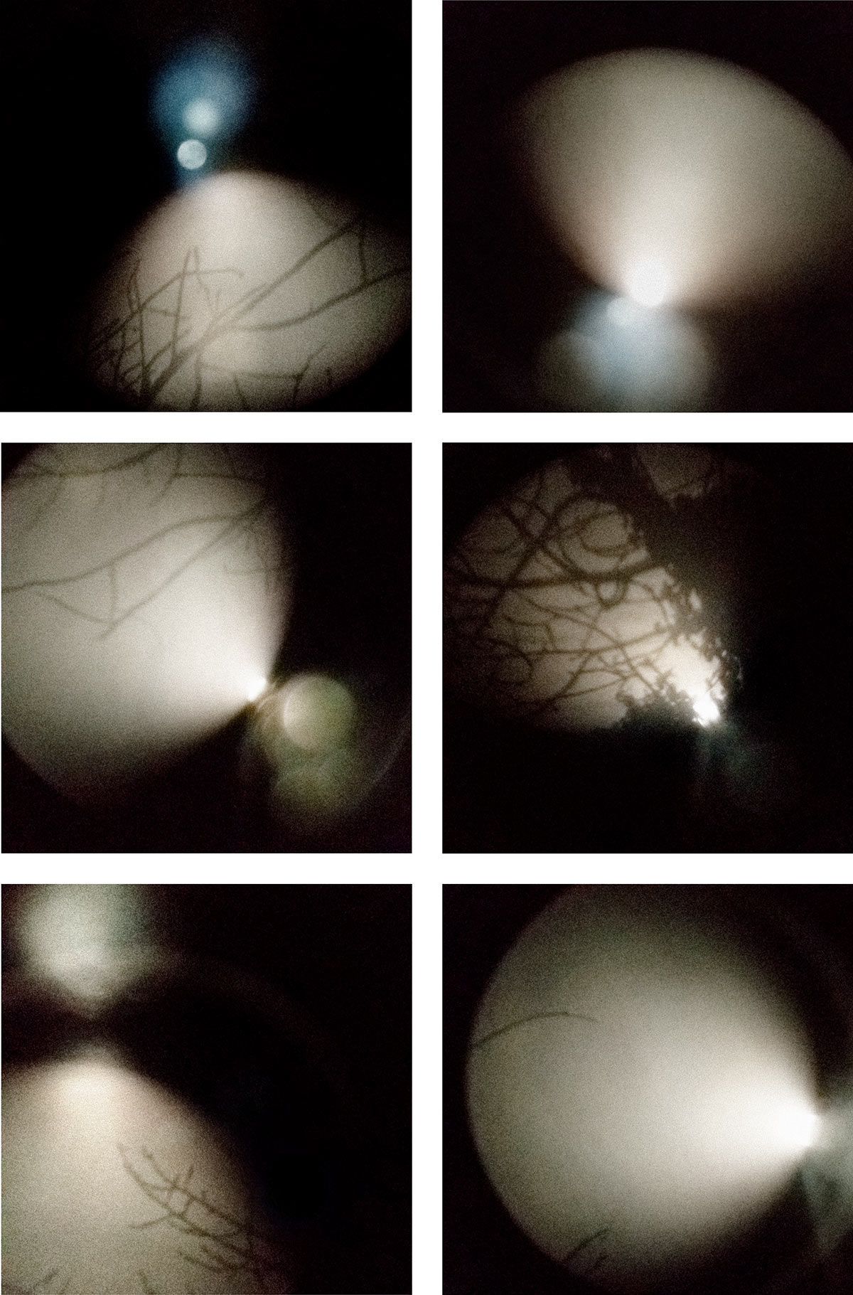 Moon montage
