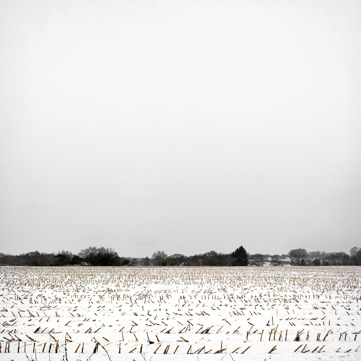 Snowscape