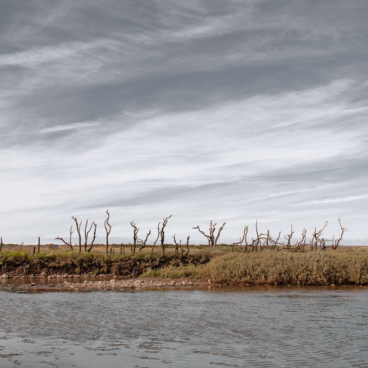 Sparkhayes Marsh