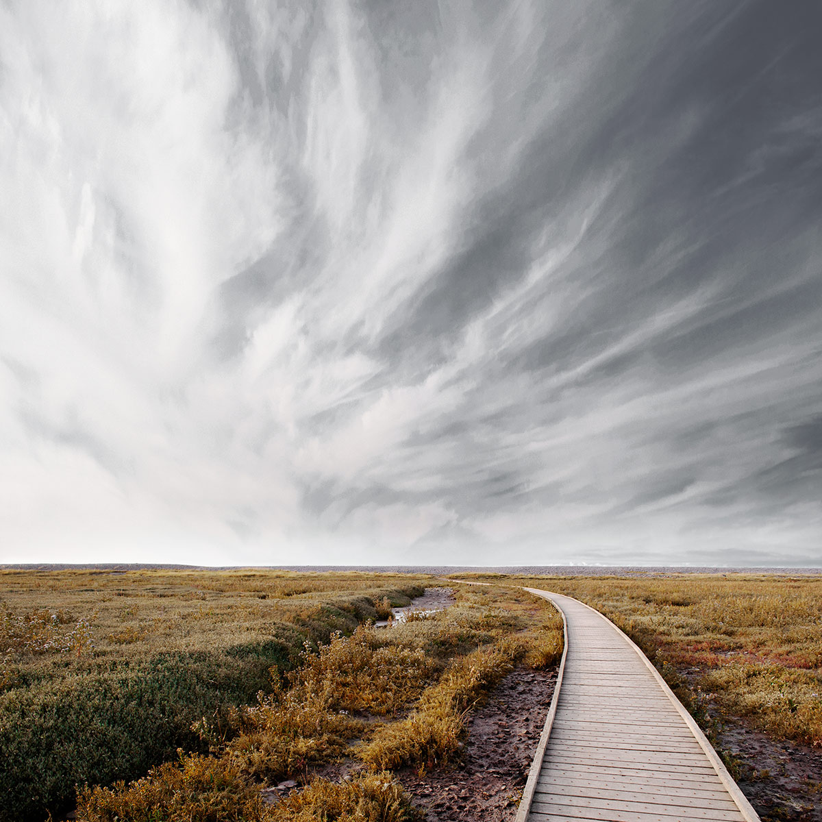 Sparkhayes Marsh